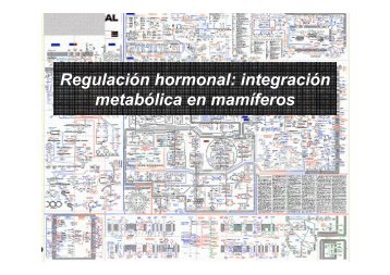 Integracion Metabolica 2do 2010. - Materias.unq.edu.ar