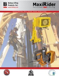 Personnel Lifting Hoists - Electric - Pneumatic - Hydraulic - Wireless ...