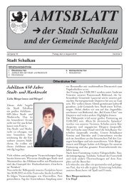 Ausgabe_August 2012.pdf - Stadt Schalkau