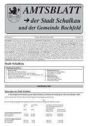 der Stadt Schalkau