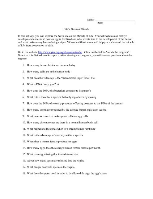 life-s-greatest-miracle-worksheet-answers-worksheet