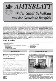 AMTSBLATT S der Stadt Schalkau