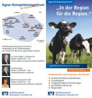 Flyer - Raiffeisenbank Rheinbach Voreifel eG