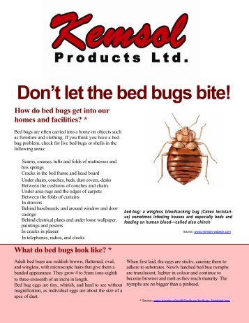 Don't let the bed bugs bite! - Kemsol