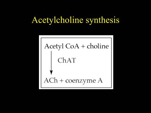 Psychopharmacology: Neurotransmitters, Drugs and Behavior