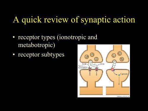 Psychopharmacology: Neurotransmitters, Drugs and Behavior