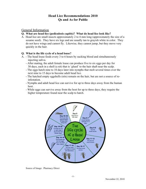 Head Lice Recommendations 2010 Qs As For The Public