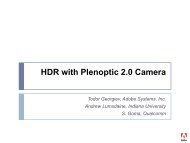 Focused Plenoptic Camera - Todor Georgiev