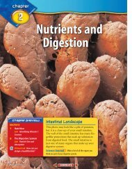 D: Chapter 2: Nutrients and Digestion - McGraw-Hill Higher Education