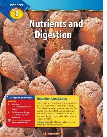 D: Chapter 2: Nutrients and Digestion - McGraw-Hill Higher Education