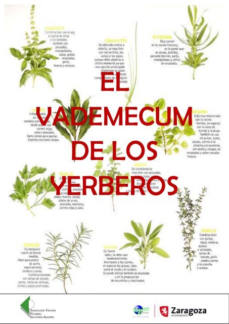 CARDO MARIANO, (Silybum marianum), 20 gr aprox. – Presentación: (Semillas ,  Tallos, flores) Deshidratado