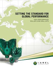 Setting the Standard for global performance - Varel International