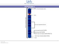 Diapositiva 1 - Lexel