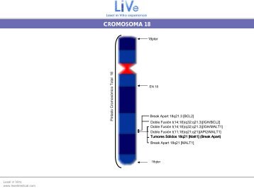 Diapositiva 1 - Lexel