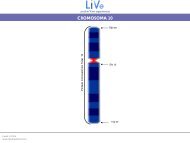 cromosoma 10 - Lexel
