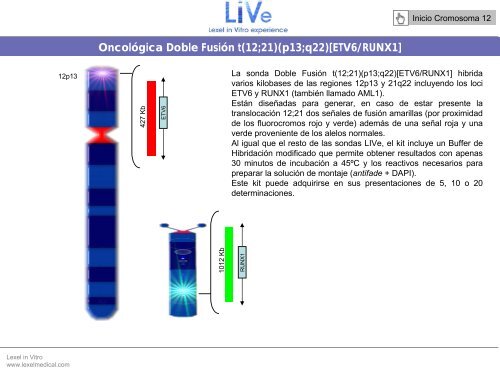 Diapositiva 1 - Lexel