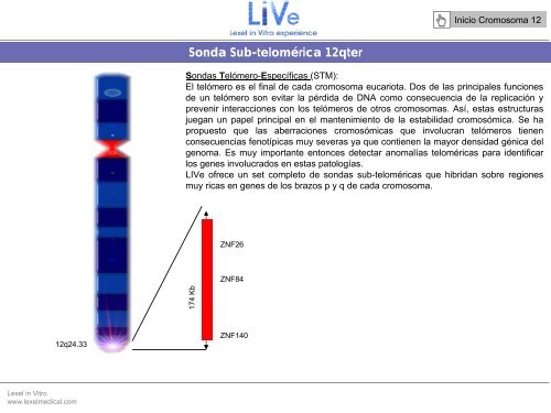 Diapositiva 1 - Lexel