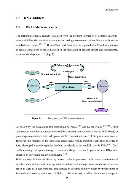 The Influence of Oxidative Stress, Carcinogens and Cloning on DNA ...