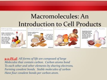 Macromolecules: An Introduction to Cell Products - School Web Sites