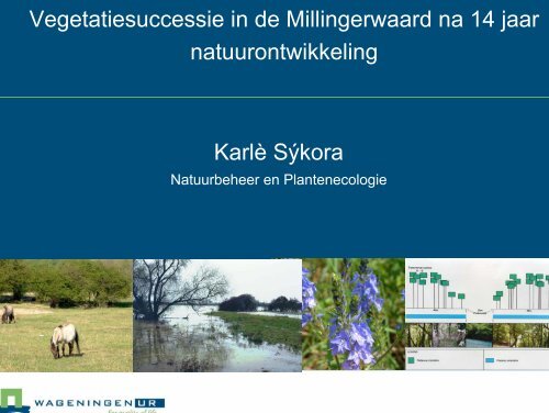 Vegetatiesuccessie in de Millingerwaard na 14 ... - VeldwerkPlaatsen