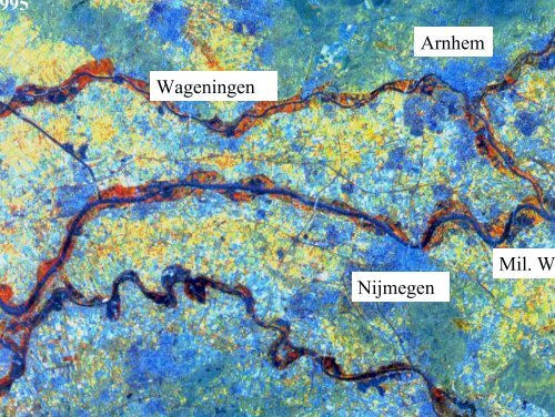 Vegetatiesuccessie in de Millingerwaard na 14 ... - VeldwerkPlaatsen