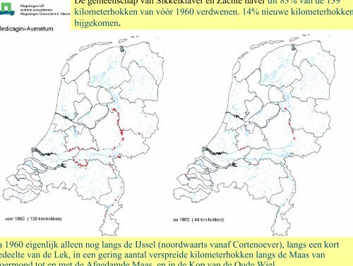 Vegetatiesuccessie in de Millingerwaard na 14 ... - VeldwerkPlaatsen