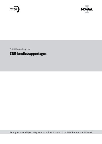 Praktijkhandreiking 1114: SBR-kredietrapportages - NBA