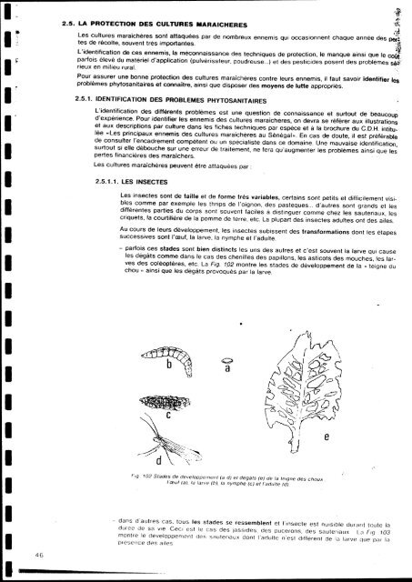 au Sénégal - Cra-segou.org