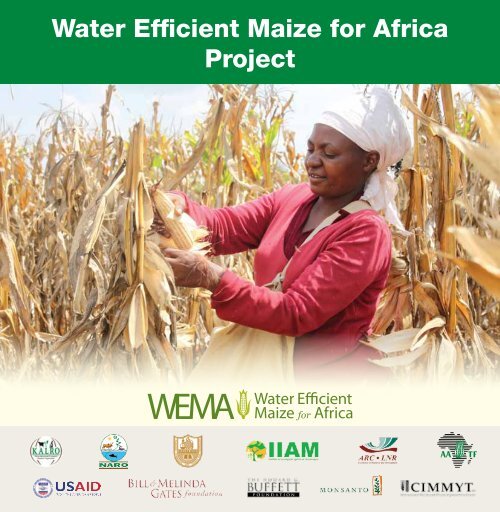 Water efficient Maize for Africa (WeMA) African Agricultural