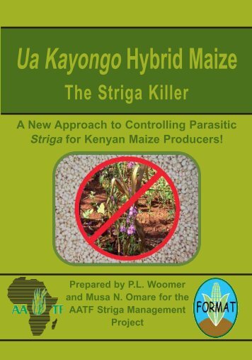 Ua kayongo Maize - African Agricultural Technology Foundation