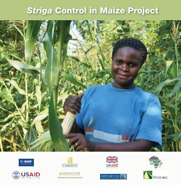 Striga control in maize - African Agricultural Technology Foundation