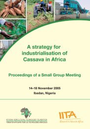 A strategy for industrialisation of cassava in Africa - African ...