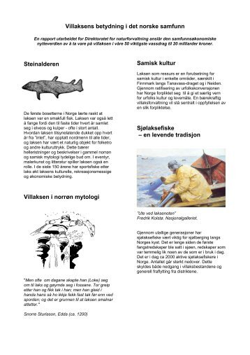 Villaksens betydning - PDF - Norske Lakseelver