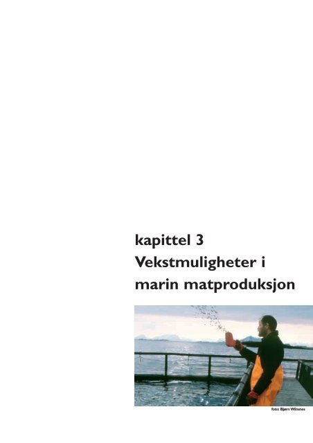 Rapport - Norske Lakseelver