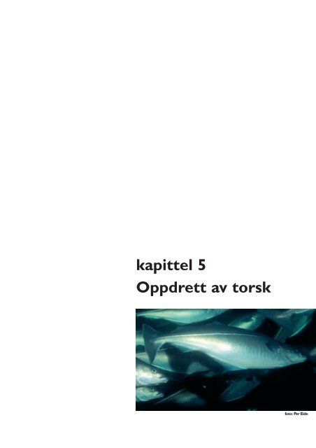 Rapport - Norske Lakseelver
