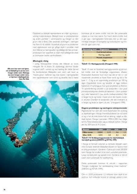 Rapport - Norske Lakseelver