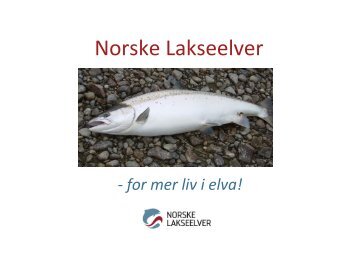 Torfinn Evensen om N.. - Norske Lakseelver