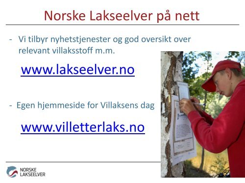 Torfinn Evensen Nors.. - Norske Lakseelver