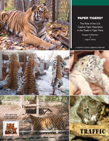 Paper Tigers? The role of the U.S. captive Tiger population ... - Traffic