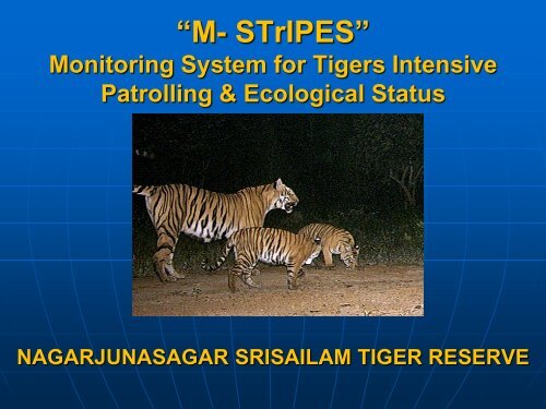 M- STrIPES - Global Tiger Initiative