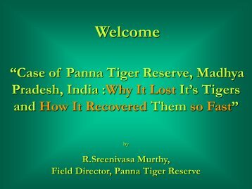 Panna Tiger Reserveâ¦ How Tigers were Recovered So Fast