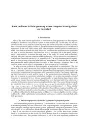 Some problems in finite geometry where computer investigations ...