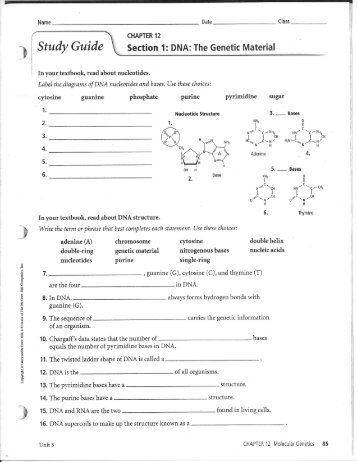 Dna unit review worksheet answer key