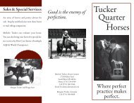 Tucker Quarter Horses Brochure - AGCM 3223