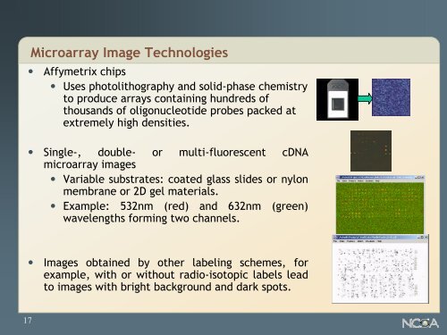 DNA Microarray Image Analysis - University of Illinois at Urbana ...