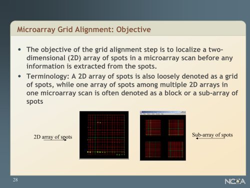 DNA Microarray Image Analysis - University of Illinois at Urbana ...