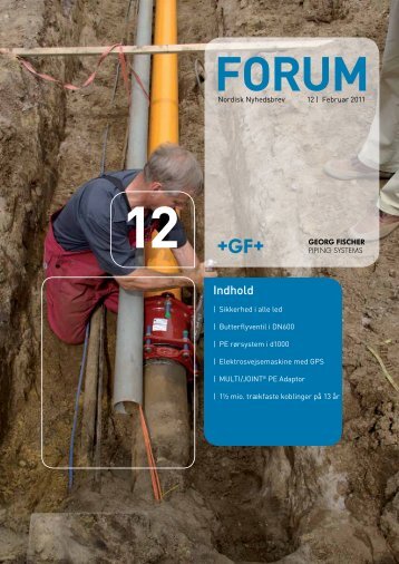 gfps_FORUM_no._12_-_February_2011.pdf