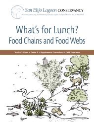 Food Chains and Food Webs - San Elijo Lagoon Conservancy