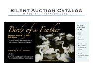 Silent Auction Catalog - San Elijo Lagoon Conservancy