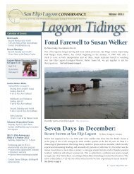 Seven Days in December - San Elijo Lagoon Conservancy